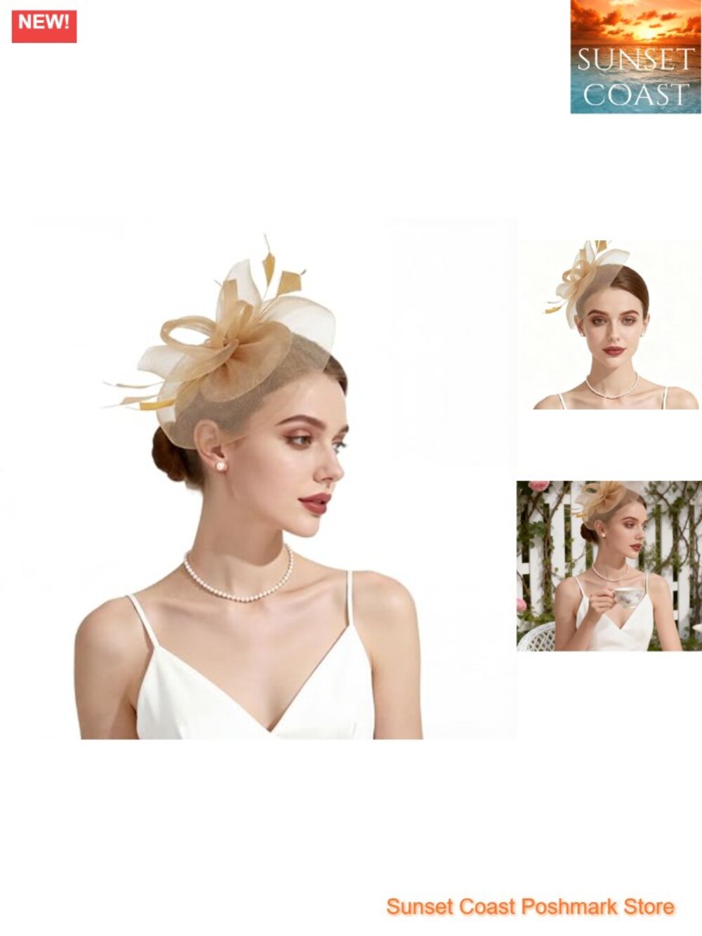 Fascinator Hat Feather Mesh Tea Party Derby Headband Clip Victorian